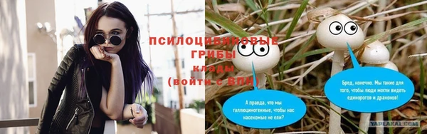 стафф Бородино