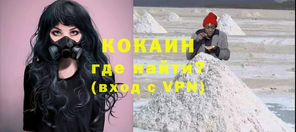 крисы Бронницы