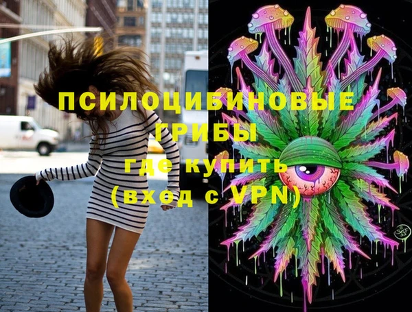 прущий лед Сосновка
