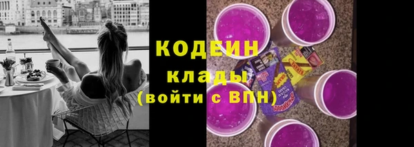 стафф Бородино