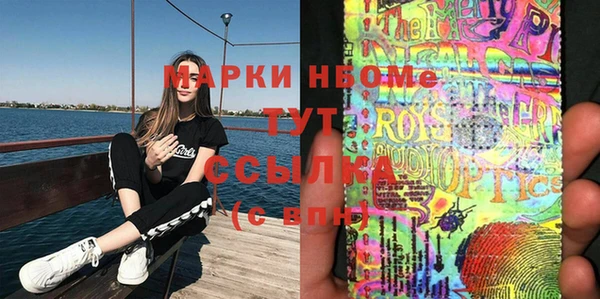 крисы Бронницы