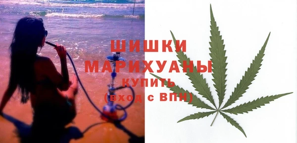 крисы Бронницы