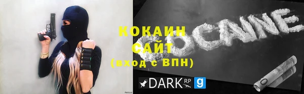 стафф Бородино