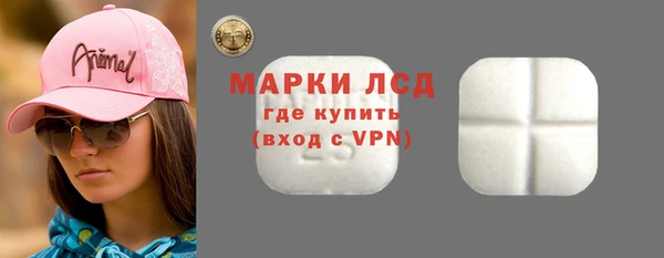 стафф Бородино
