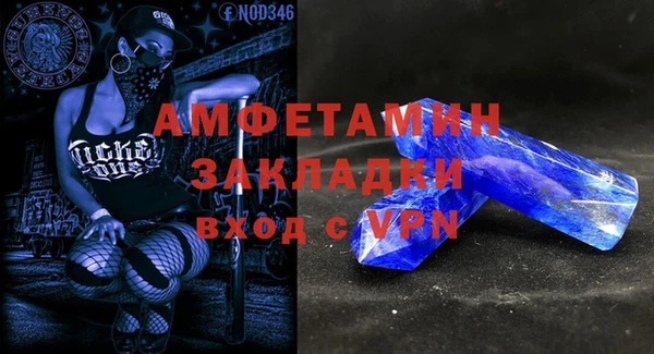 крисы Бронницы