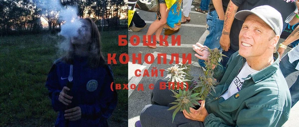 стафф Бородино