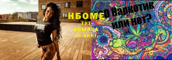 крисы Бронницы