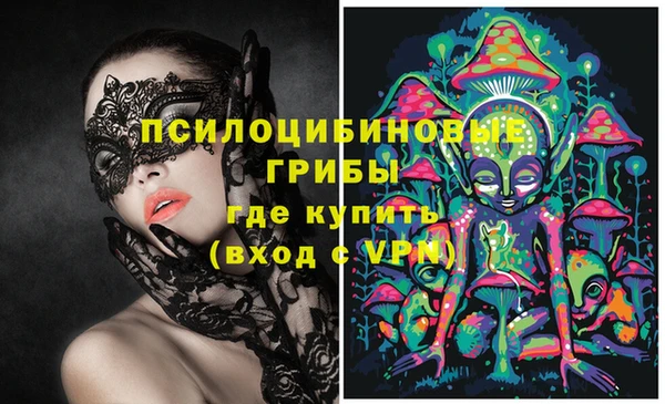 стафф Бородино