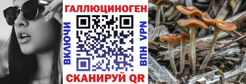 Псилоцибиновые грибы мицелий  Киреевск 